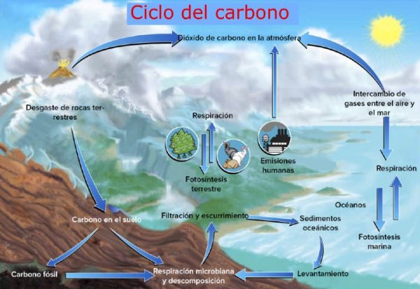 ciclo del carbono geológico