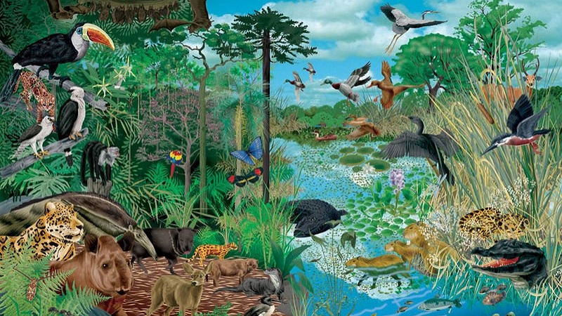que son los ecosistemas terrestres ejemplos